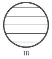 MAXI quaderni BM CENTUS A4 100g rigatura 1R (5° elementare)