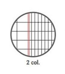 MAXI quaderno A4 80g 2 Colonne per ragioneria